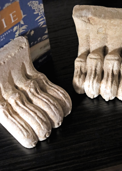 Sandstone Lion's Paw