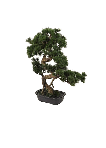 Faux Bonsai Tree in Pot