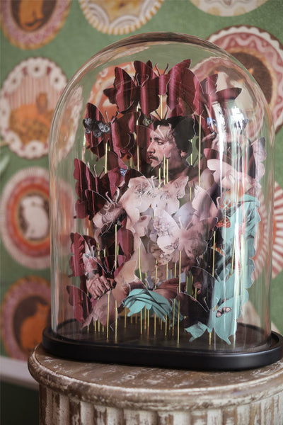 The Dandy - Art under a dome