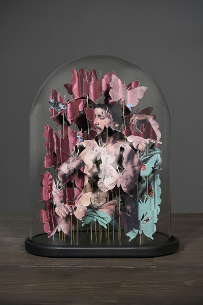 The Dandy - Art under a dome